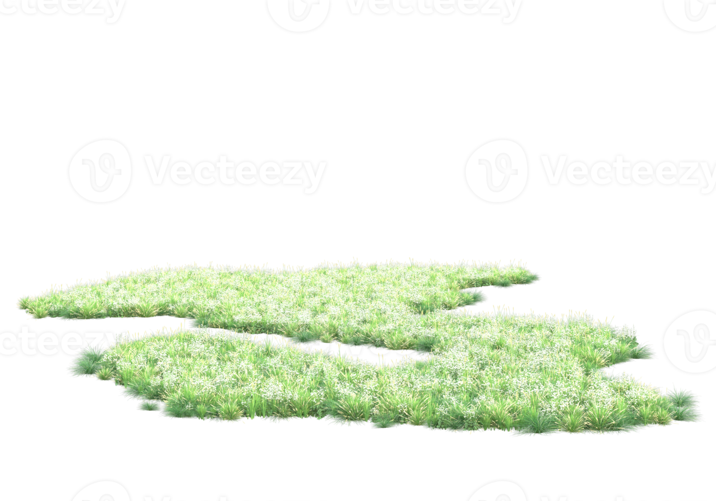 Realistic foliage isolated on transparent background. 3d rendering - illustration png