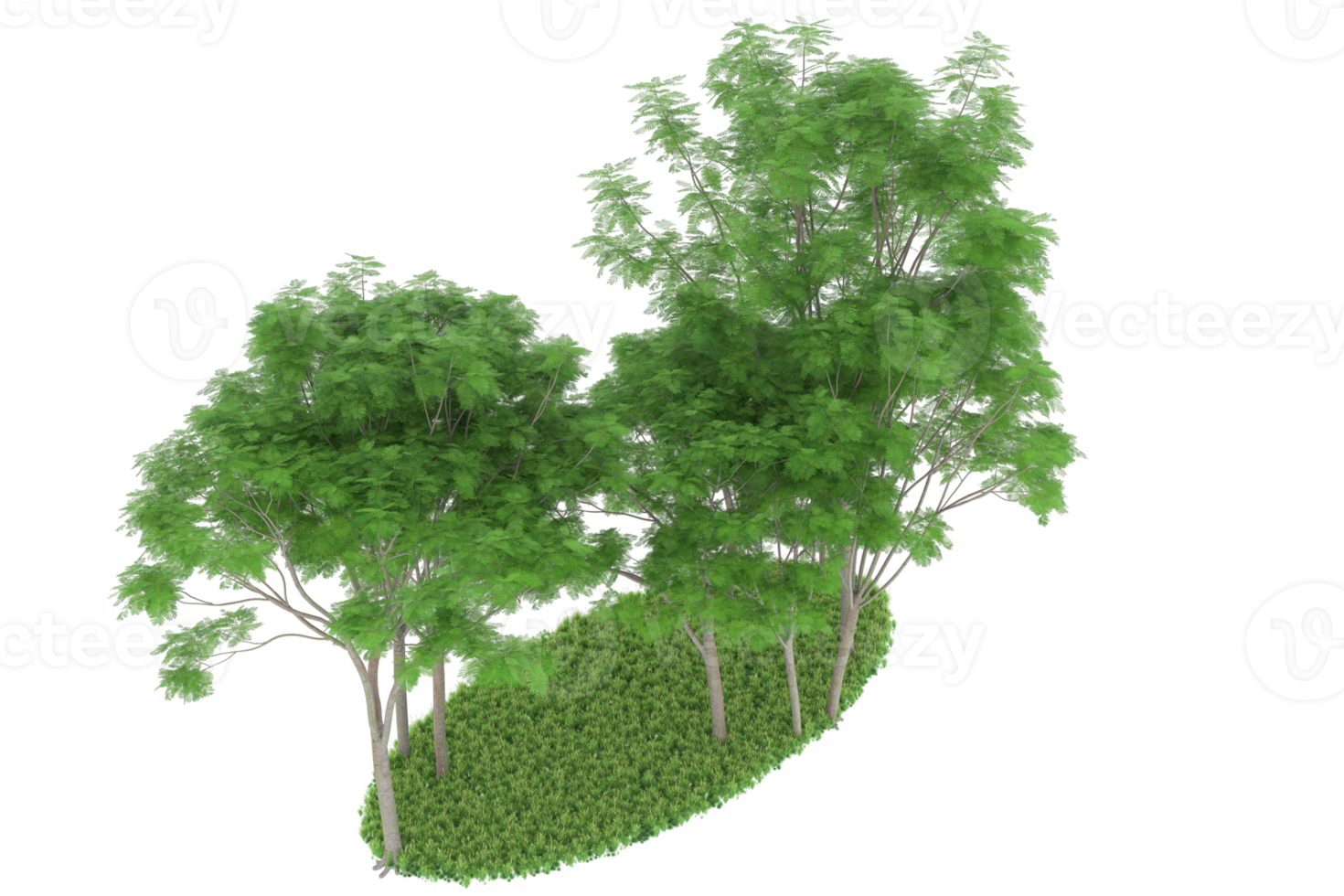 floresta realista isolada em fundo transparente. renderização 3D - ilustração png