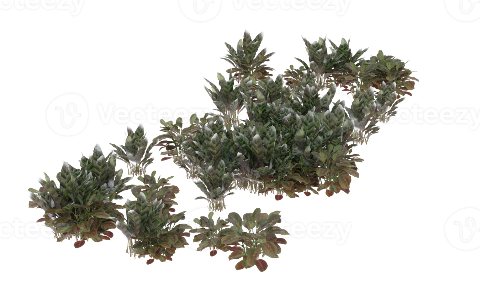 Realistic foliage isolated on transparent background. 3d rendering - illustration png