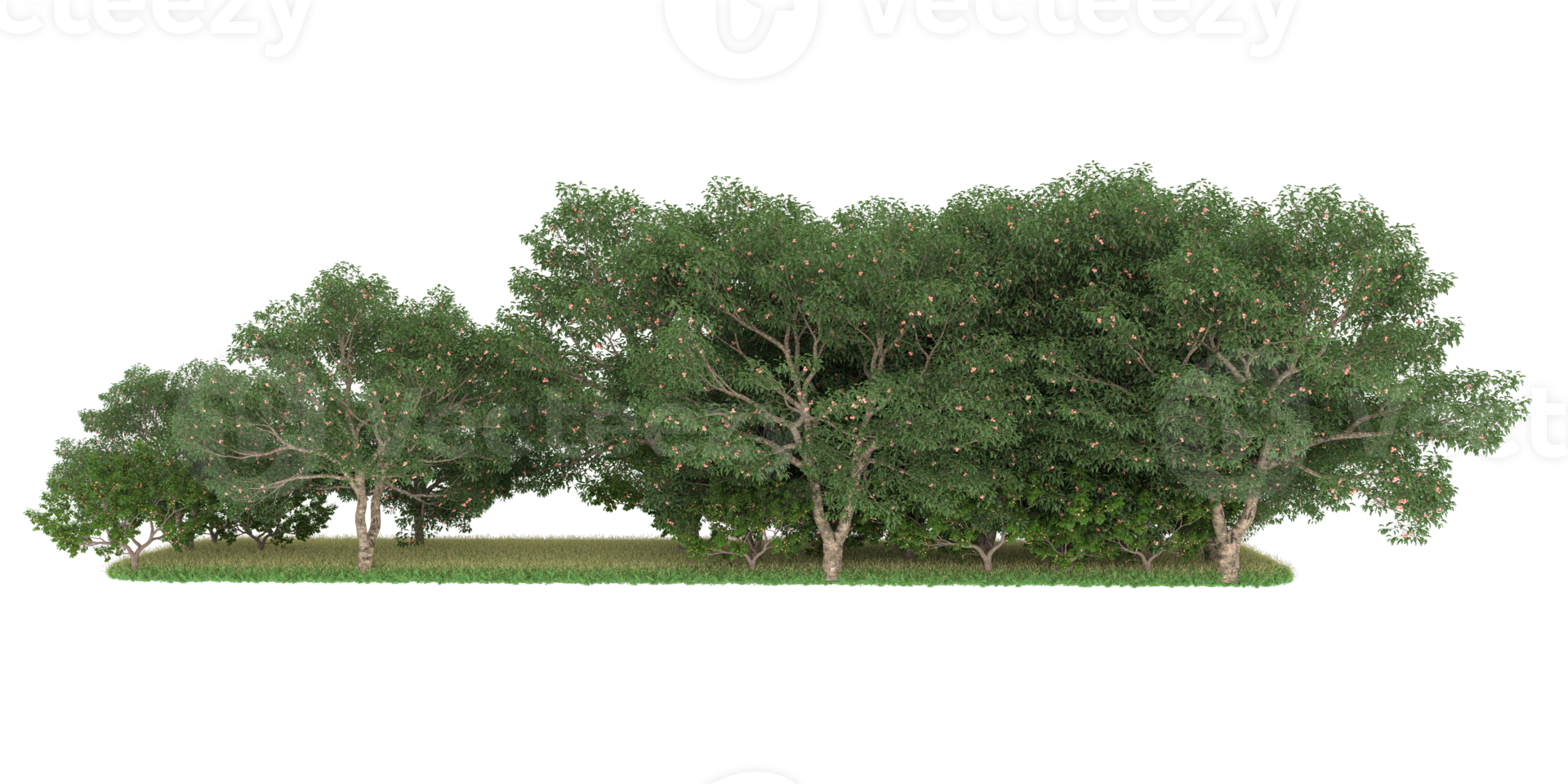 Realistic forest isolated on transparent background. 3d rendering - illustration png