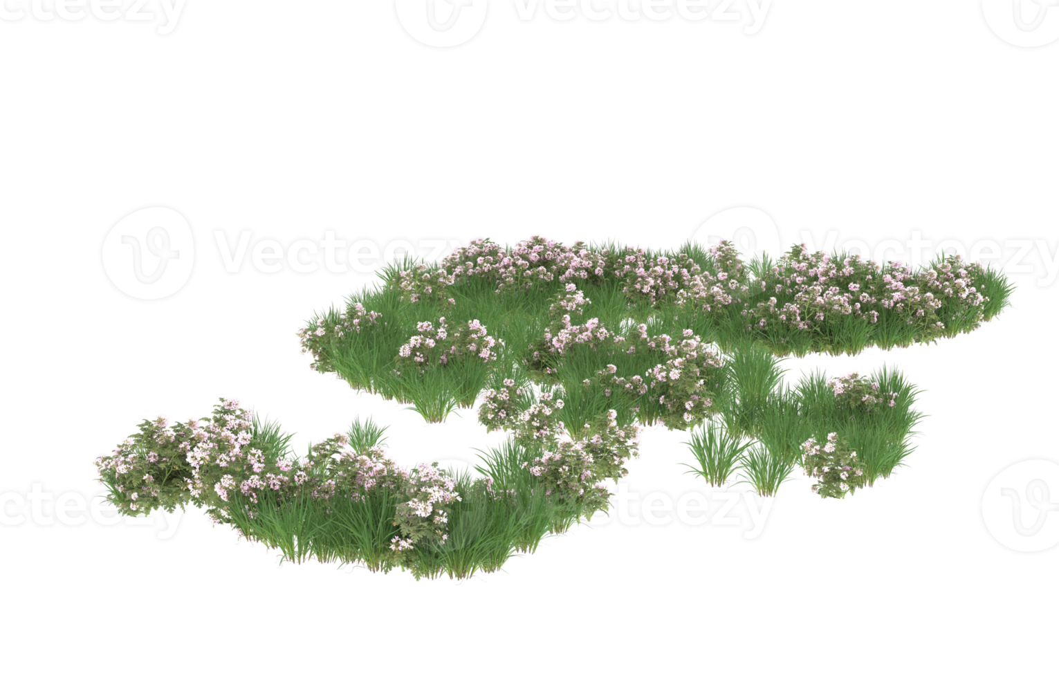 Realistic foliage isolated on transparent background. 3d rendering - illustration png
