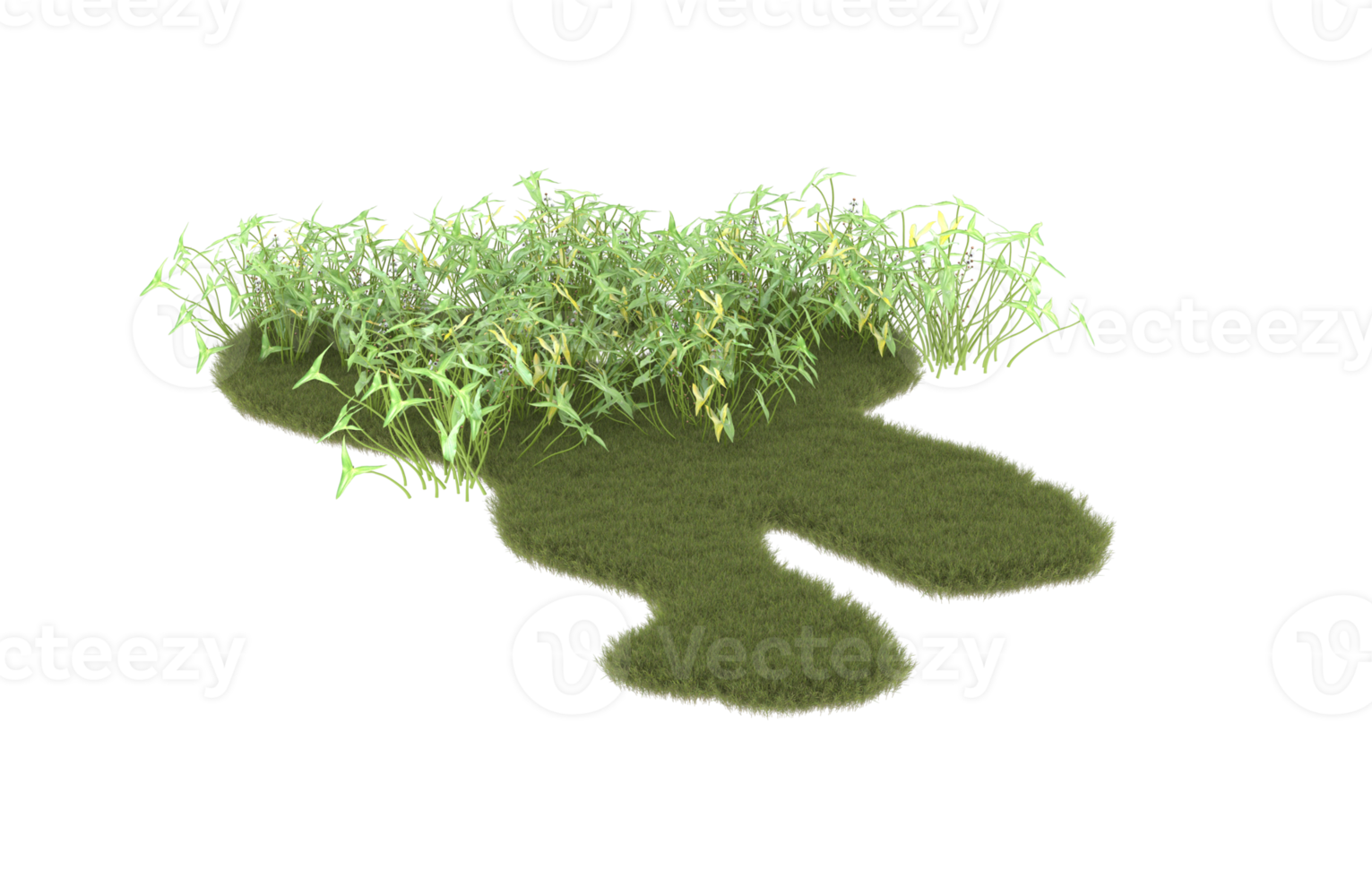 realistisk lövverk isolerat på transparent bakgrund. 3d tolkning - illustration png