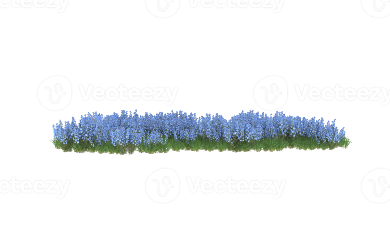 realistisk lövverk isolerat på transparent bakgrund. 3d tolkning - illustration png