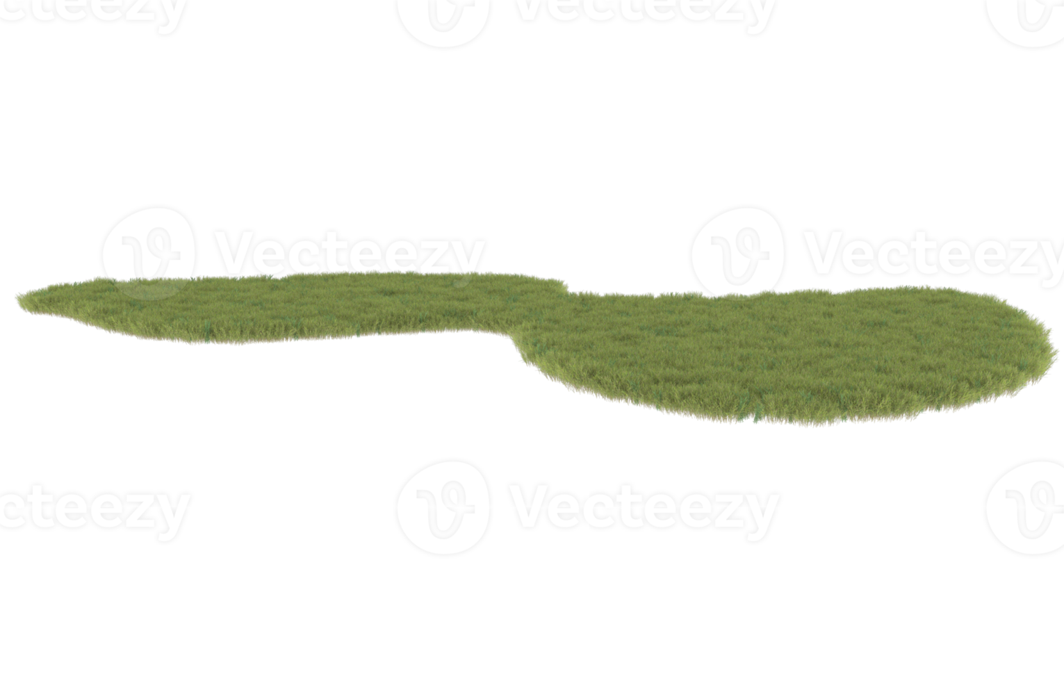 realistisk lövverk isolerat på transparent bakgrund. 3d tolkning - illustration png