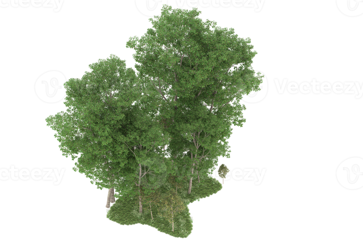 Realistic forest isolated on transparent background. 3d rendering - illustration png