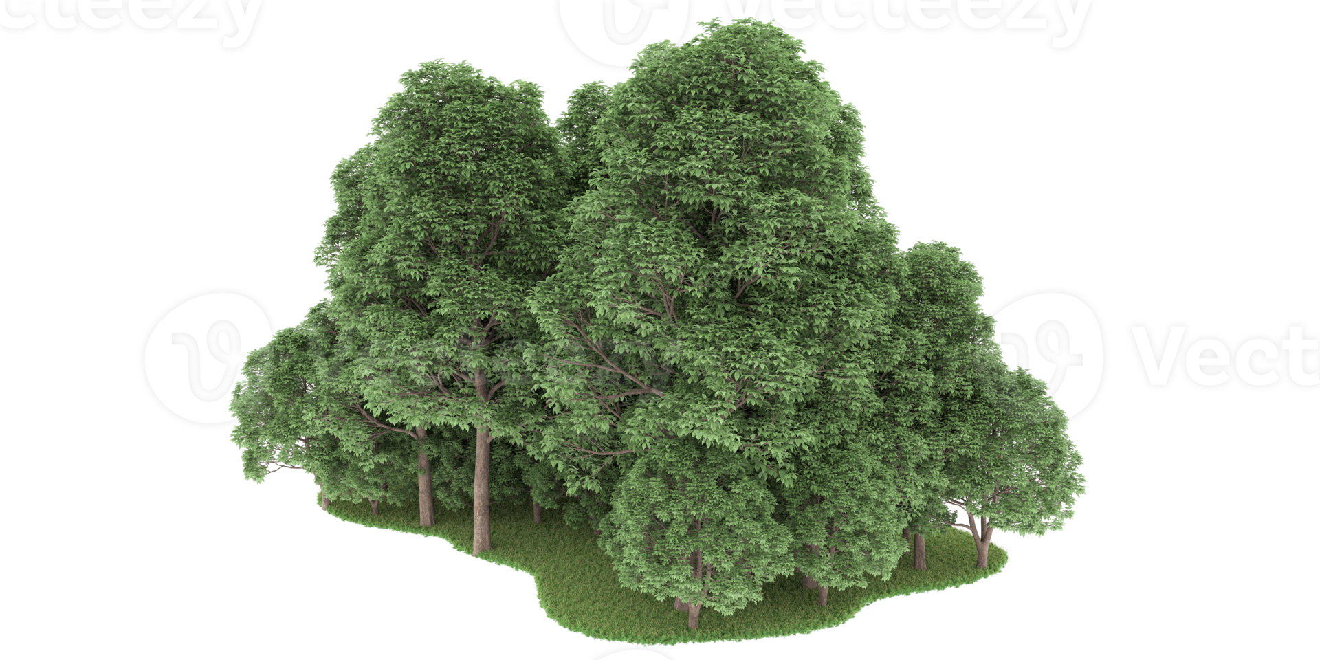 floresta realista isolada em fundo transparente. renderização 3D - ilustração png