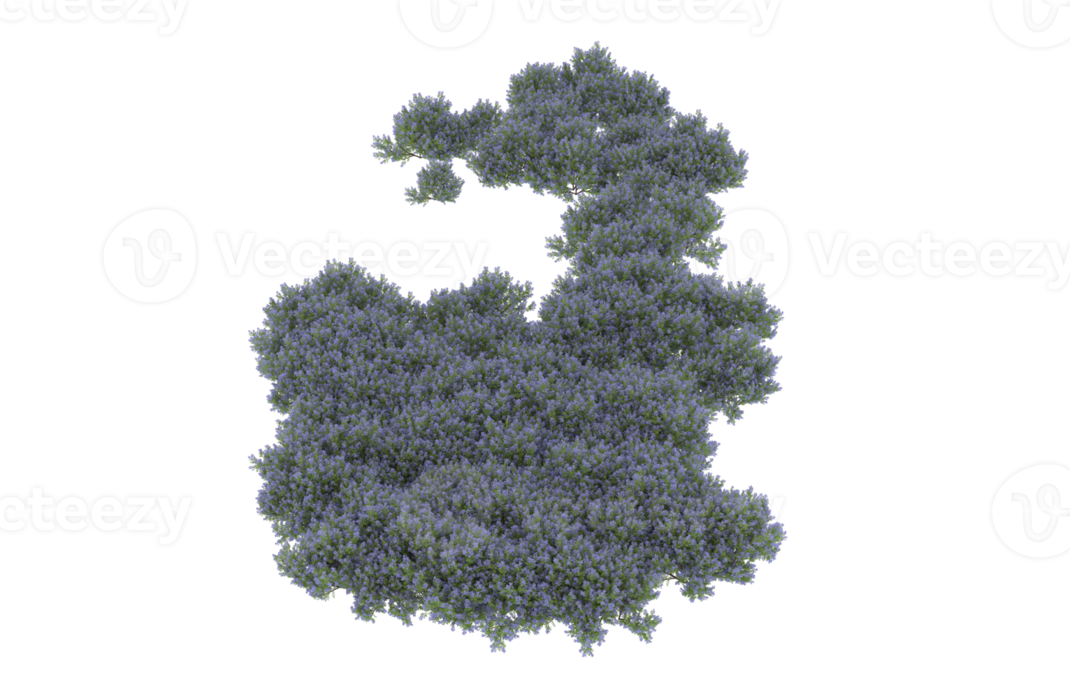 realistisk lövverk isolerat på transparent bakgrund. 3d tolkning - illustration png