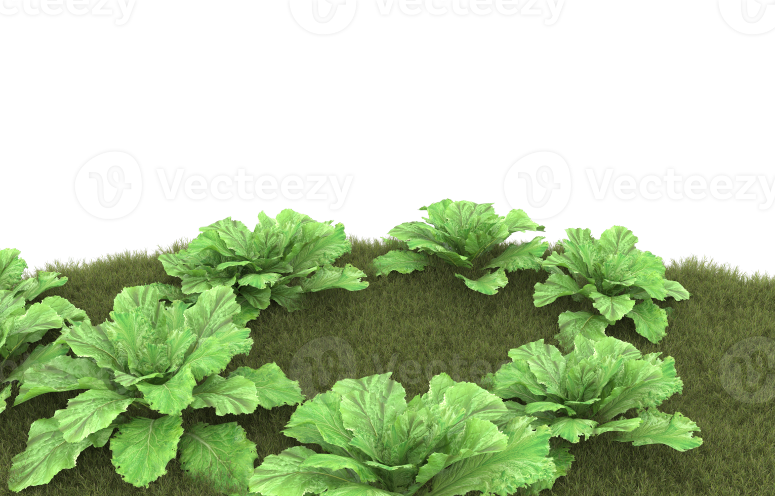 Realistic foliage isolated on transparent background. 3d rendering - illustration png