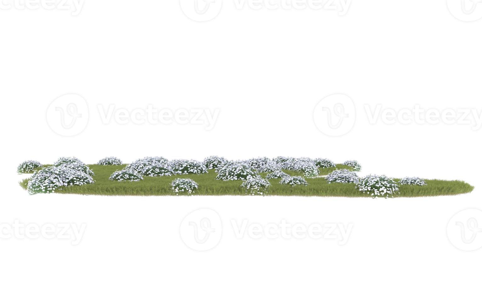 Realistic foliage isolated on transparent background. 3d rendering - illustration png