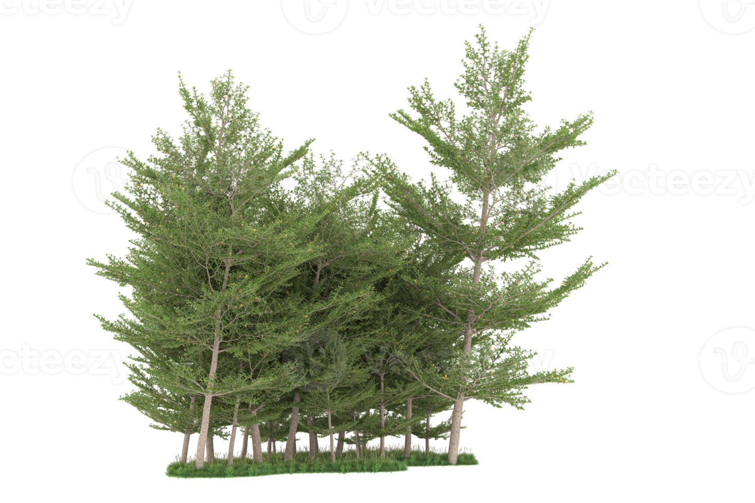 Realistic forest isolated on transparent background. 3d rendering - illustration png