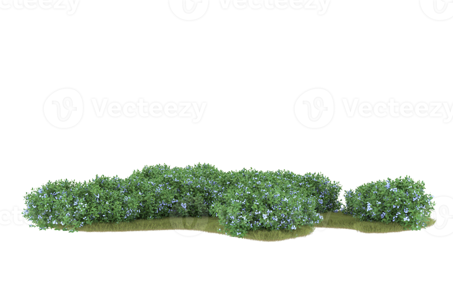 Realistic foliage isolated on transparent background. 3d rendering - illustration png