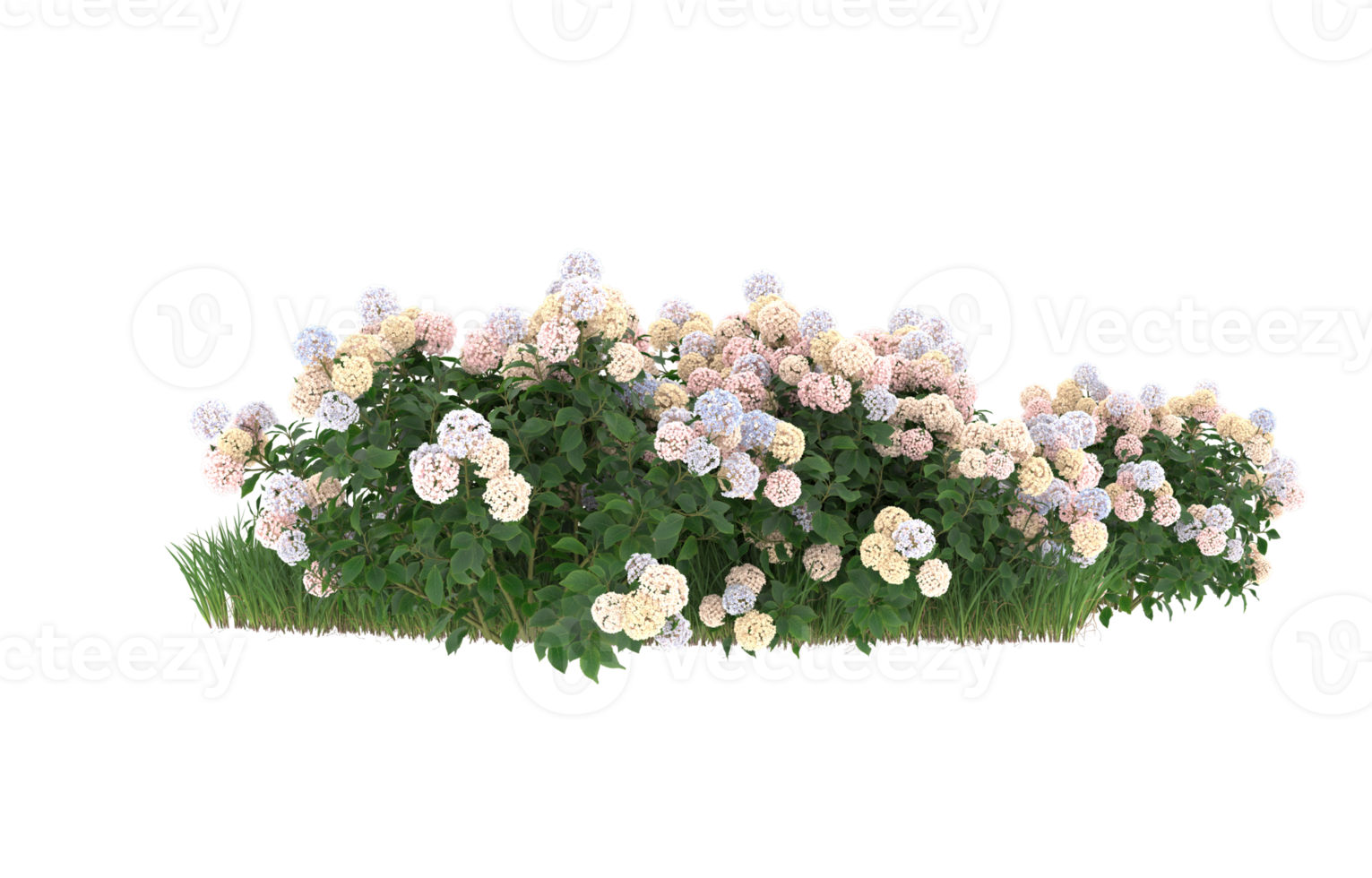 Realistic foliage isolated on transparent background. 3d rendering - illustration png