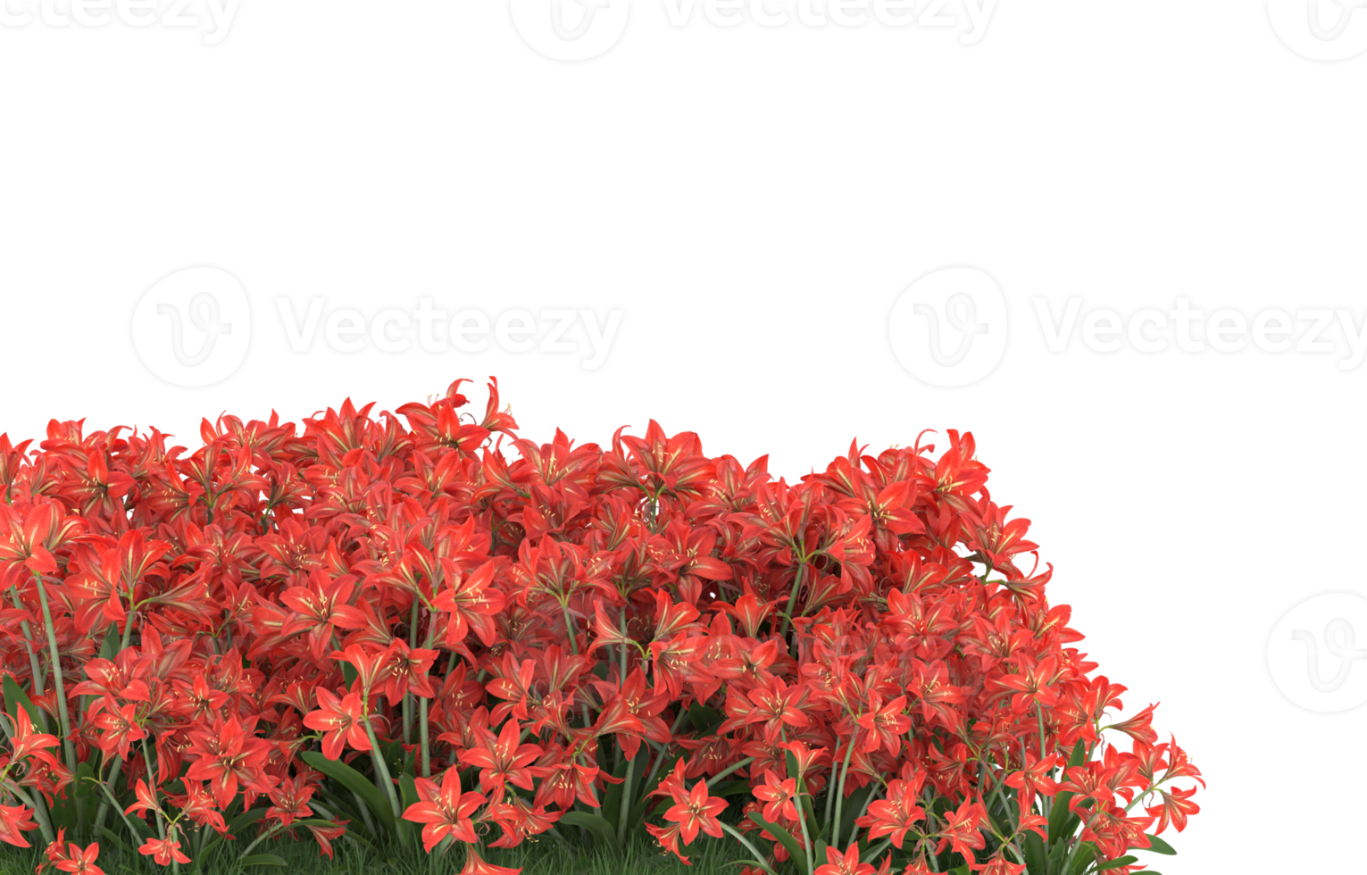 Realistic foliage isolated on transparent background. 3d rendering - illustration png