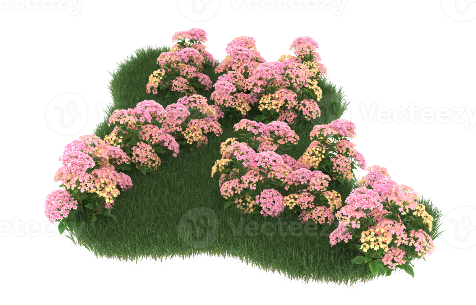 Realistic foliage isolated on transparent background. 3d rendering - illustration png
