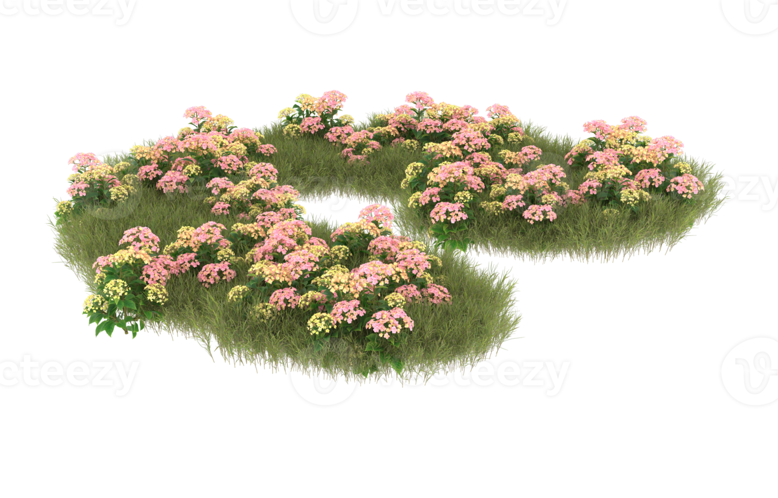 Realistic foliage isolated on transparent background. 3d rendering - illustration png