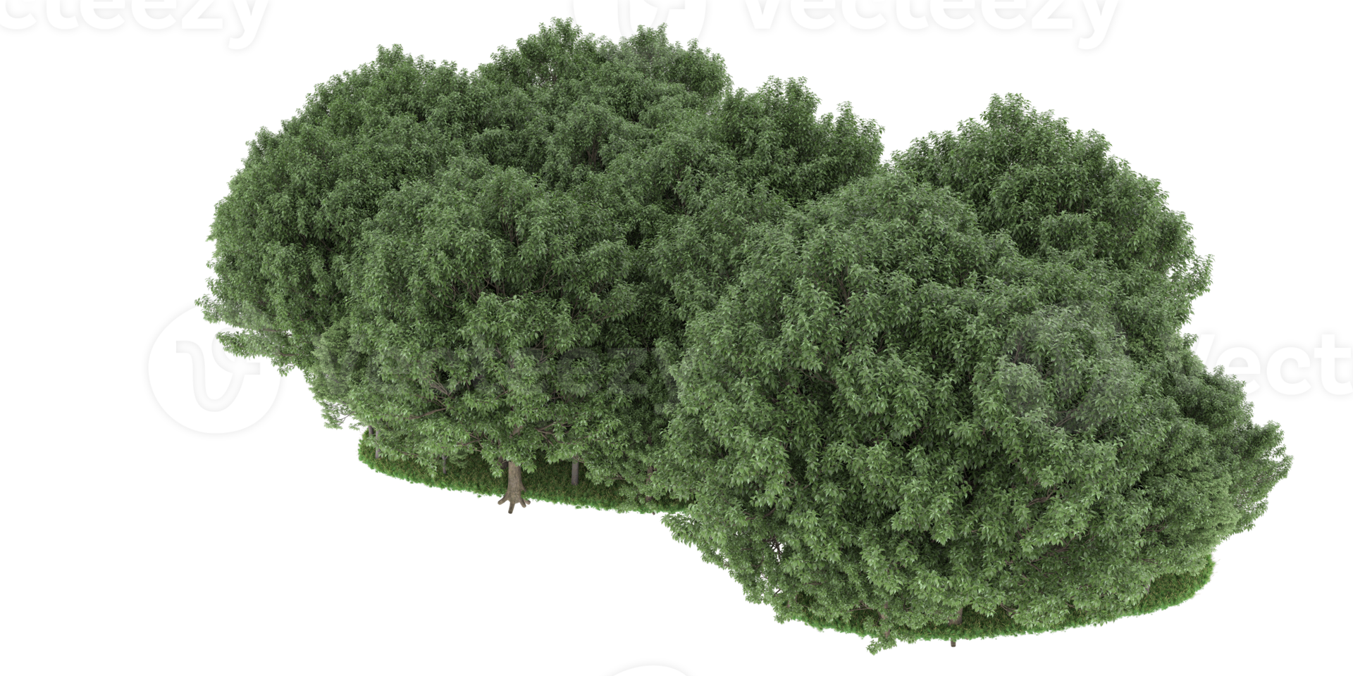 Realistic forest isolated on transparent background. 3d rendering - illustration png