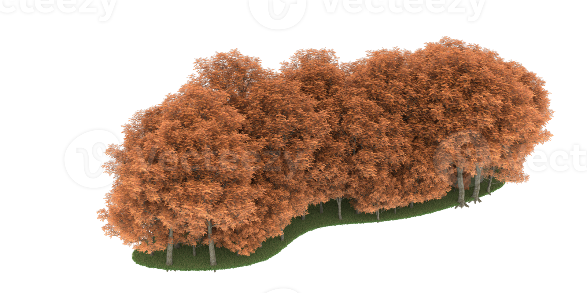 floresta realista isolada em fundo transparente. renderização 3D - ilustração png