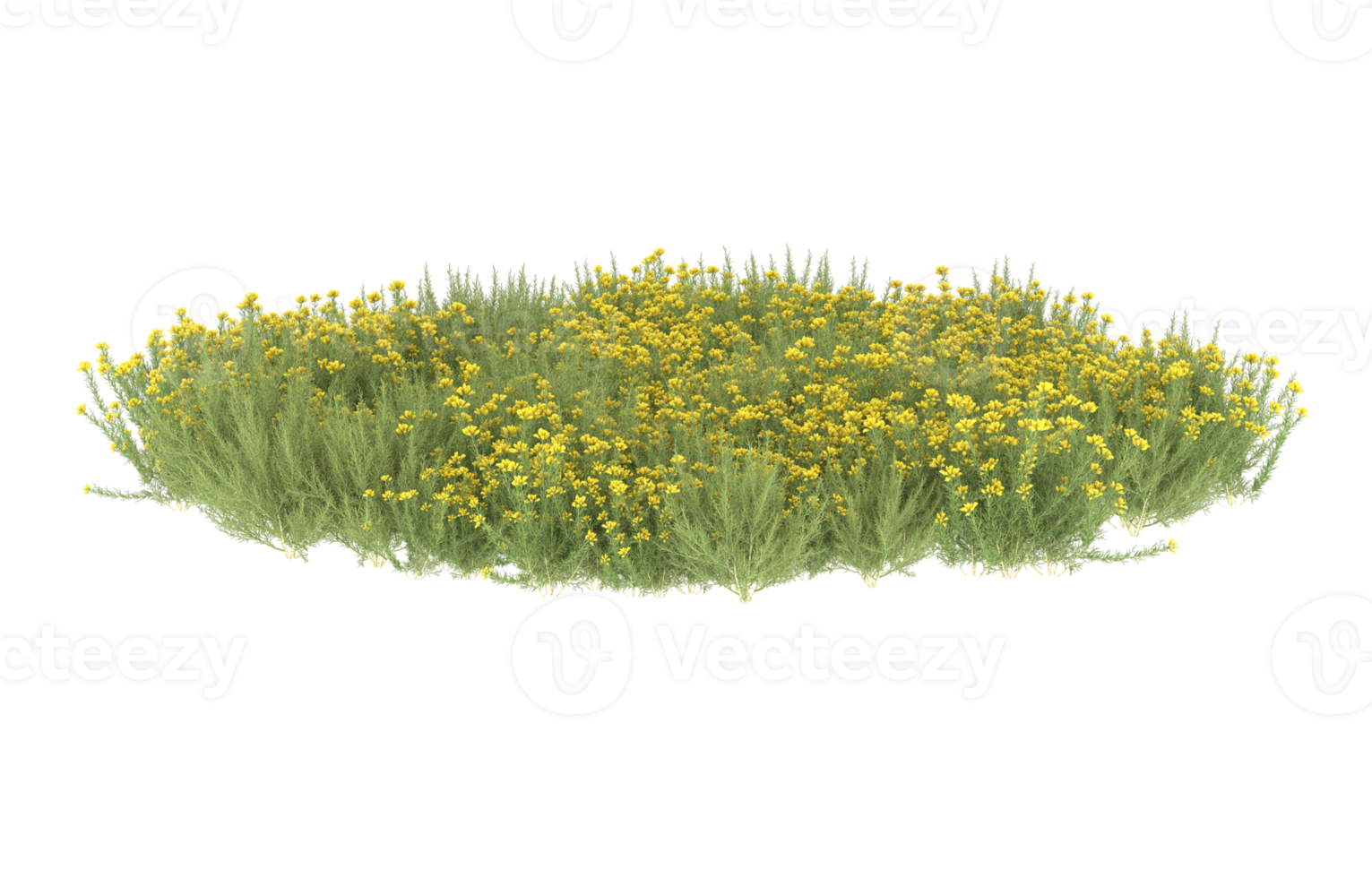 realistisk lövverk isolerat på transparent bakgrund. 3d tolkning - illustration png