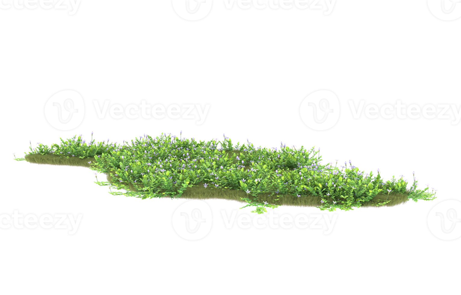 realistisk lövverk isolerat på transparent bakgrund. 3d tolkning - illustration png