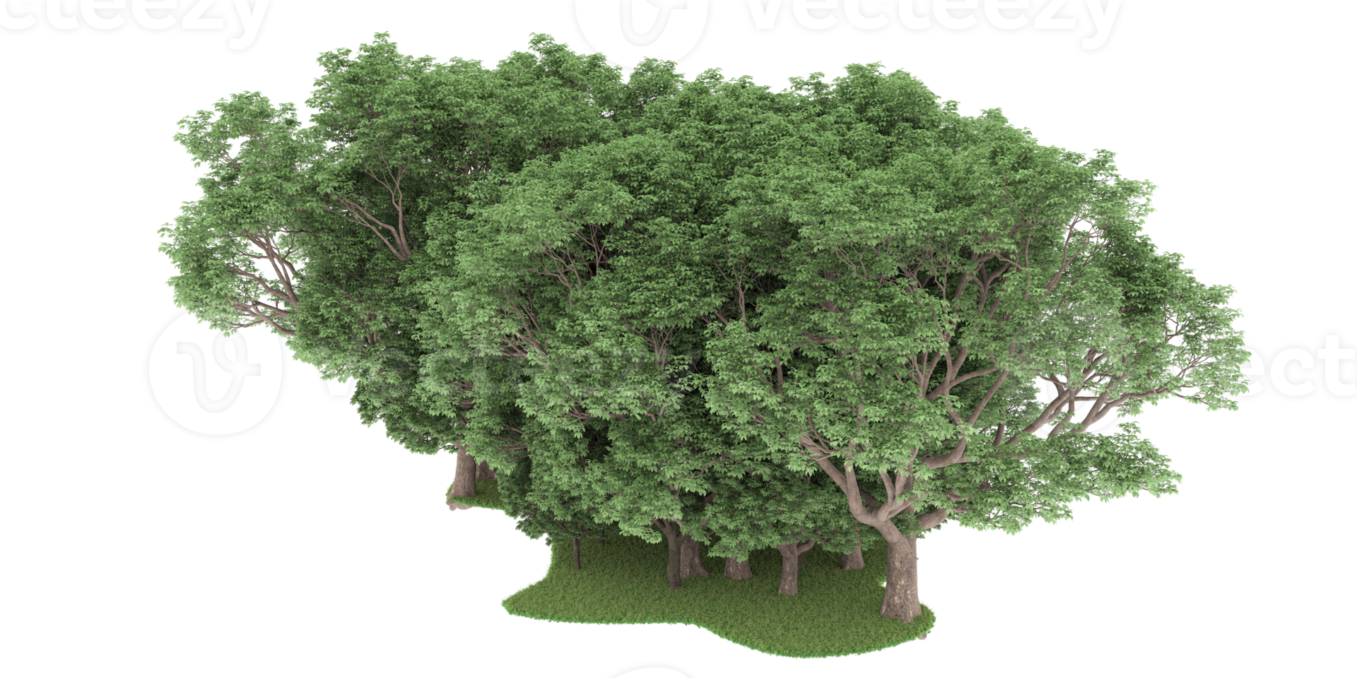 Realistic forest isolated on transparent background. 3d rendering - illustration png