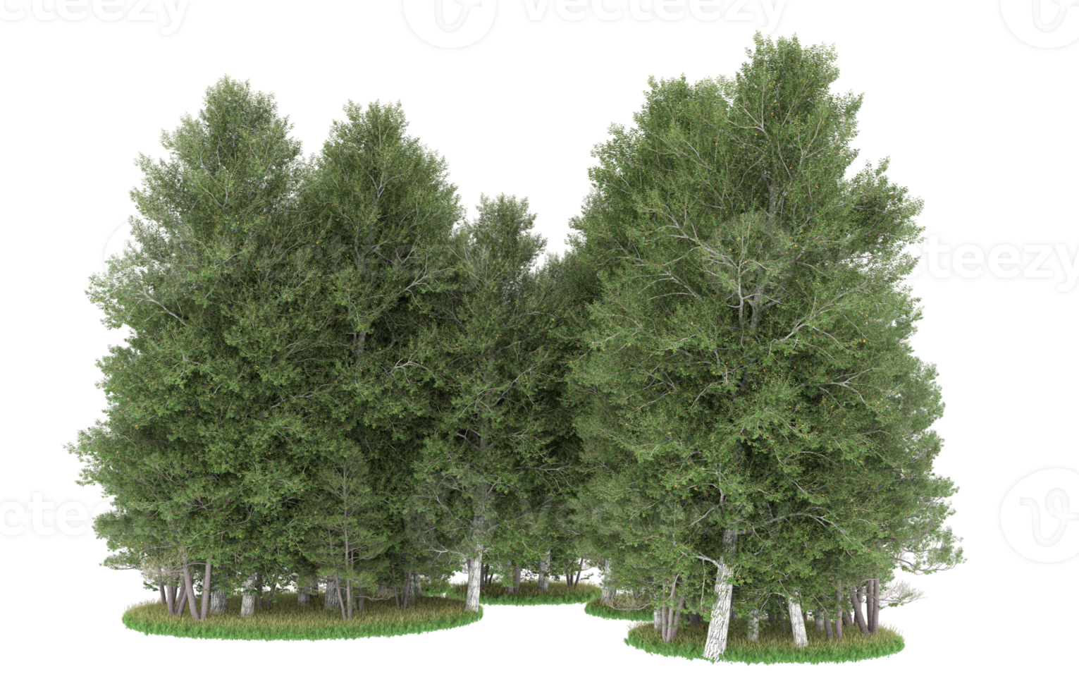Realistic foliage isolated on transparent background. 3d rendering - illustration png