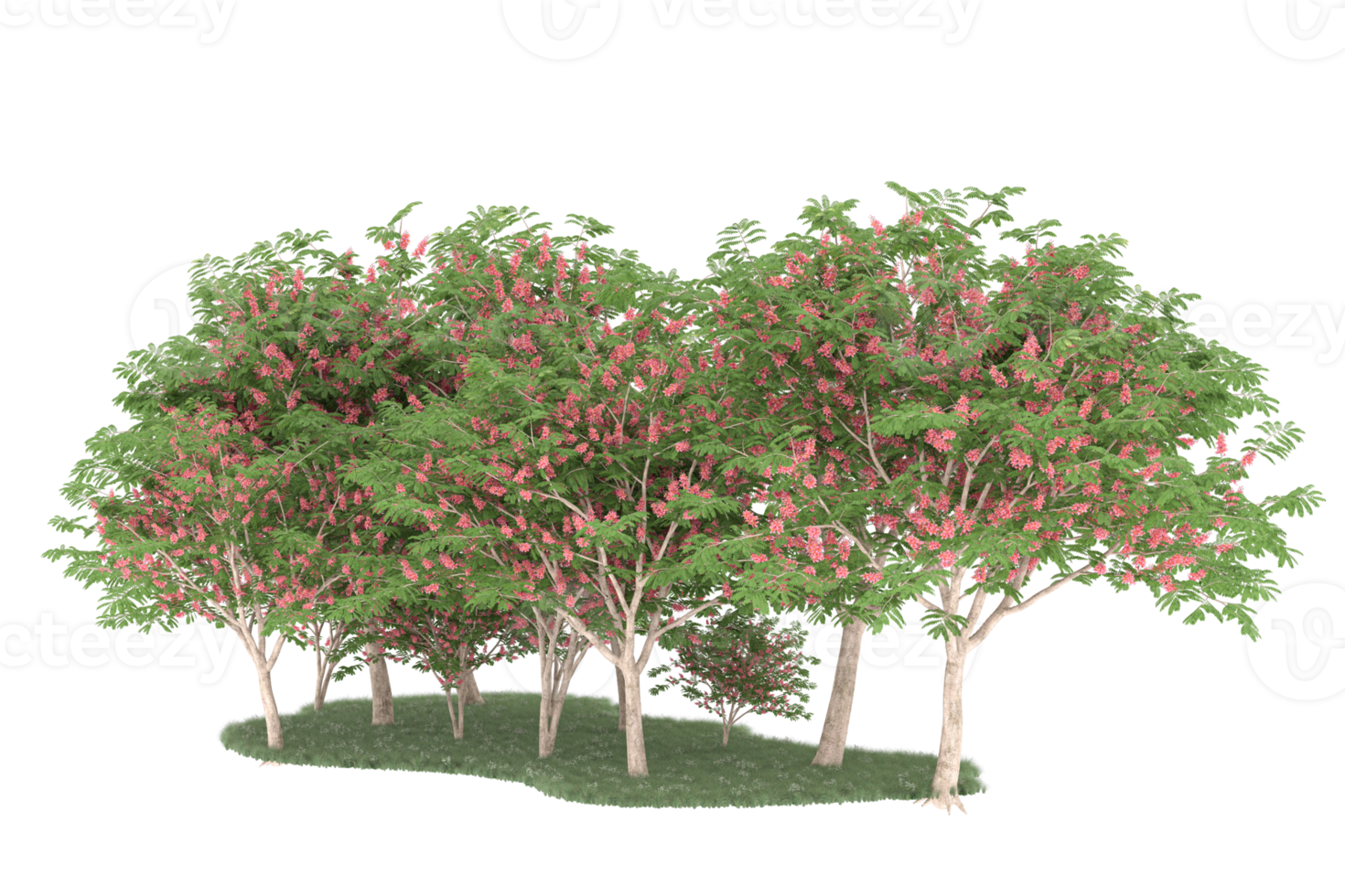 Realistic forest isolated on transparent background. 3d rendering - illustration png
