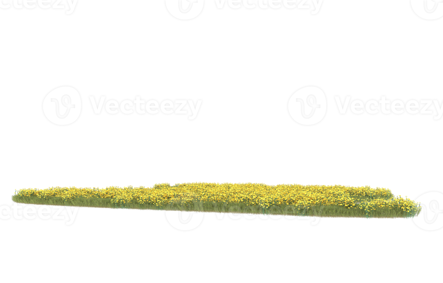 realistisk lövverk isolerat på transparent bakgrund. 3d tolkning - illustration png