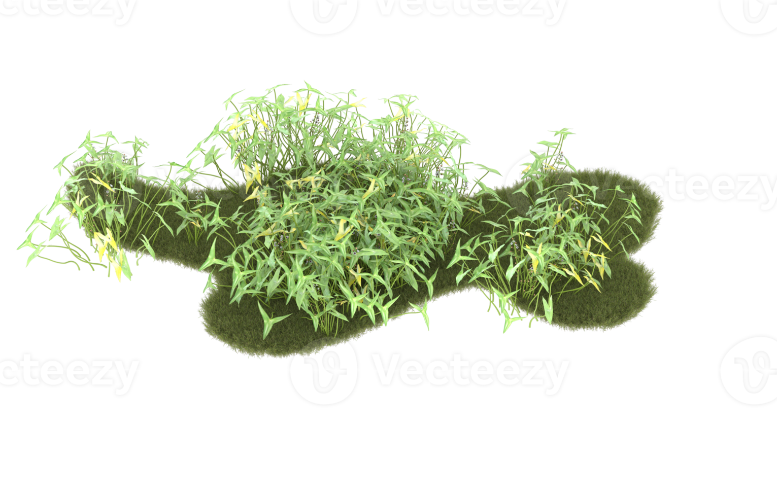 Realistic foliage isolated on transparent background. 3d rendering - illustration png