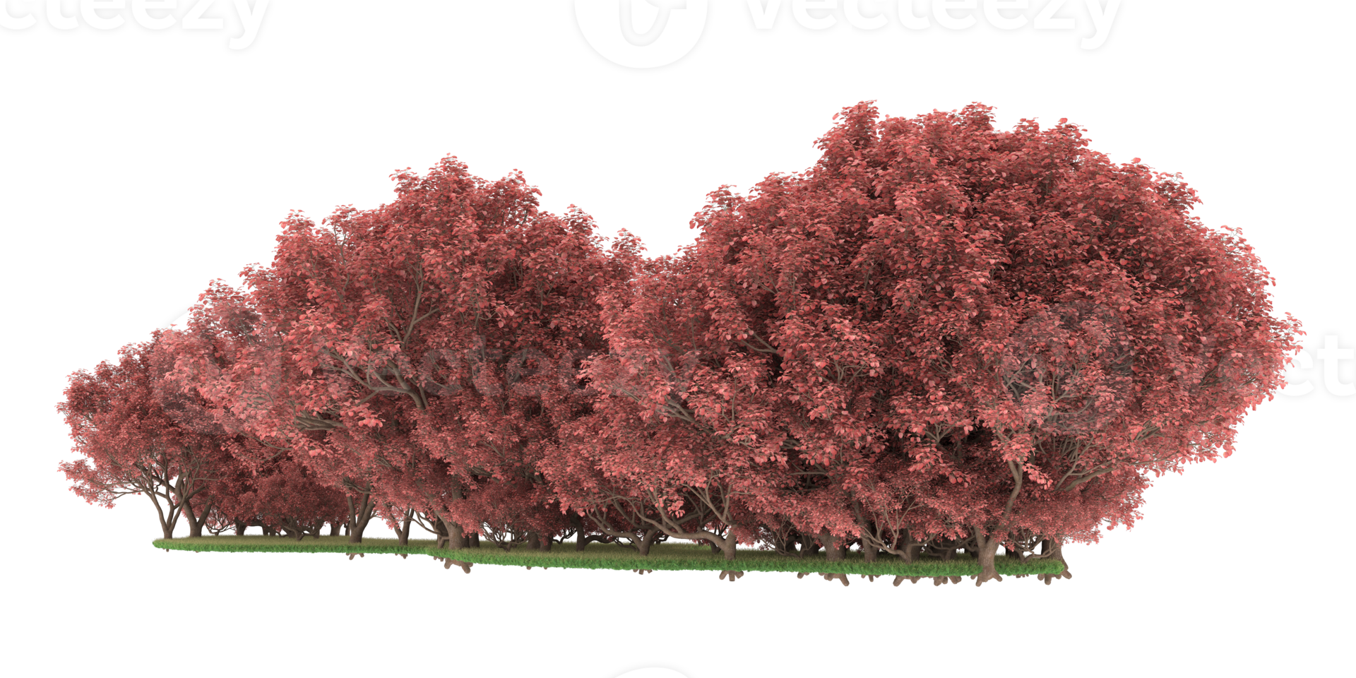 Realistic forest isolated on transparent background. 3d rendering - illustration png