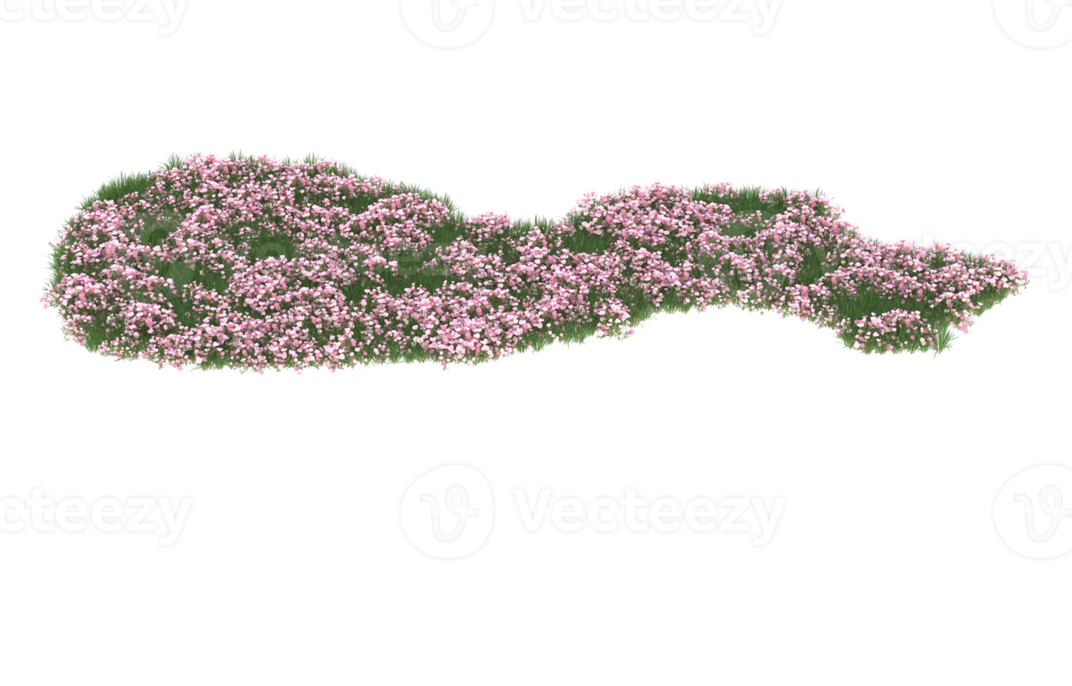 Realistic foliage isolated on transparent background. 3d rendering - illustration png