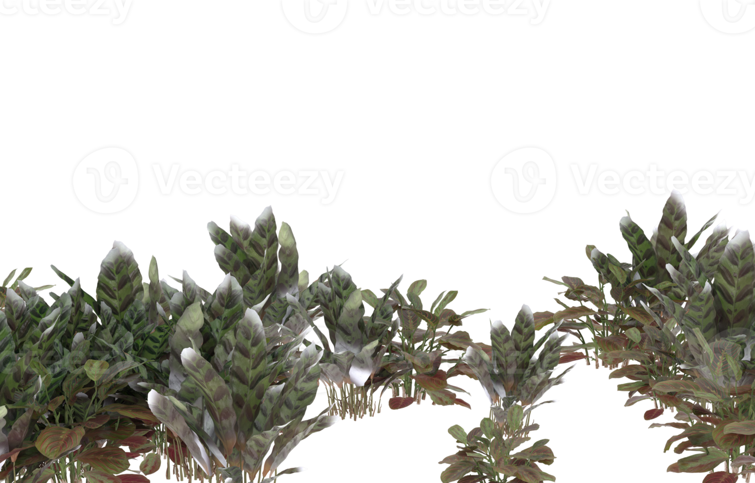 Realistic foliage isolated on transparent background. 3d rendering - illustration png
