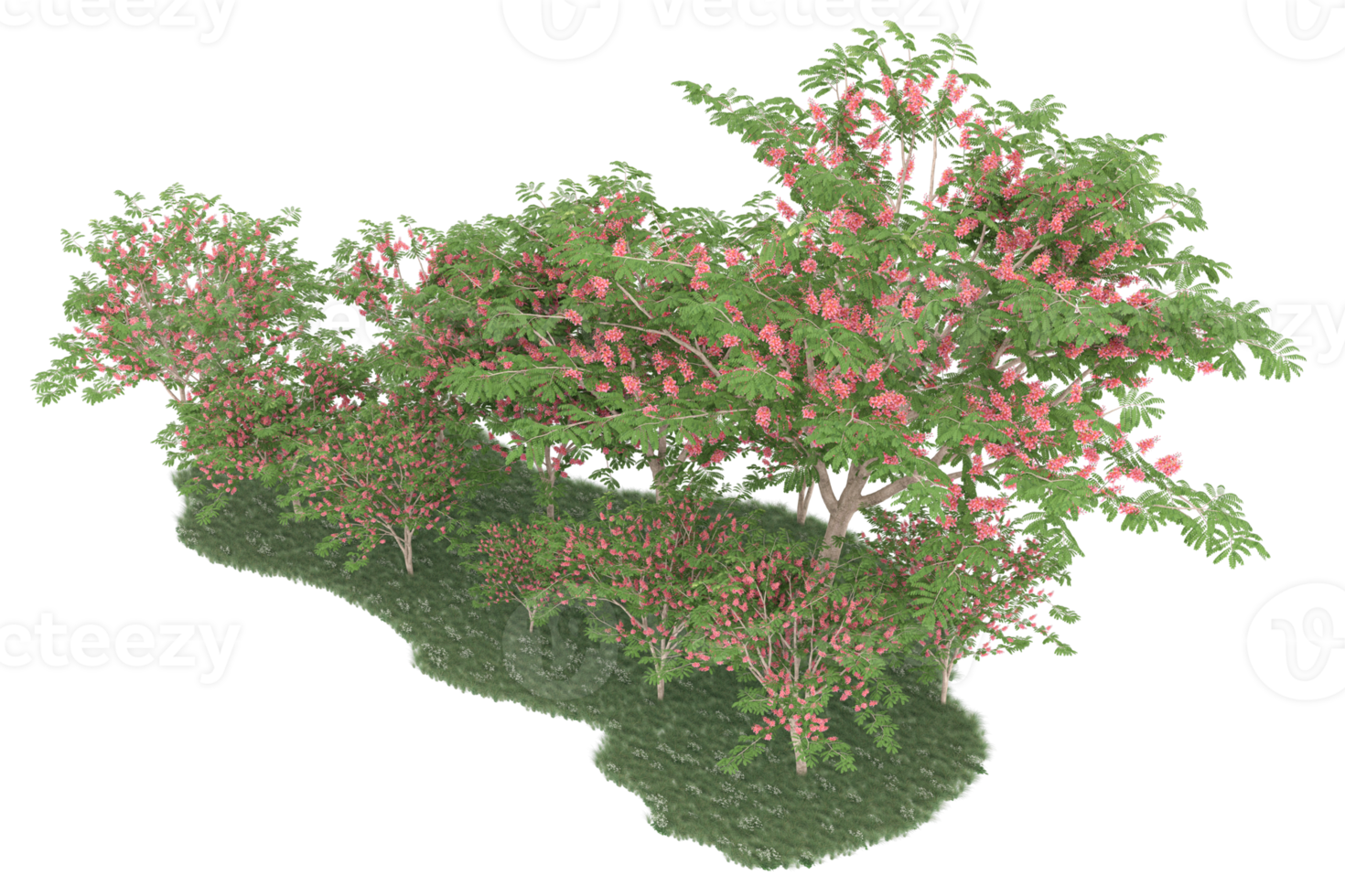 Realistic forest isolated on transparent background. 3d rendering - illustration png