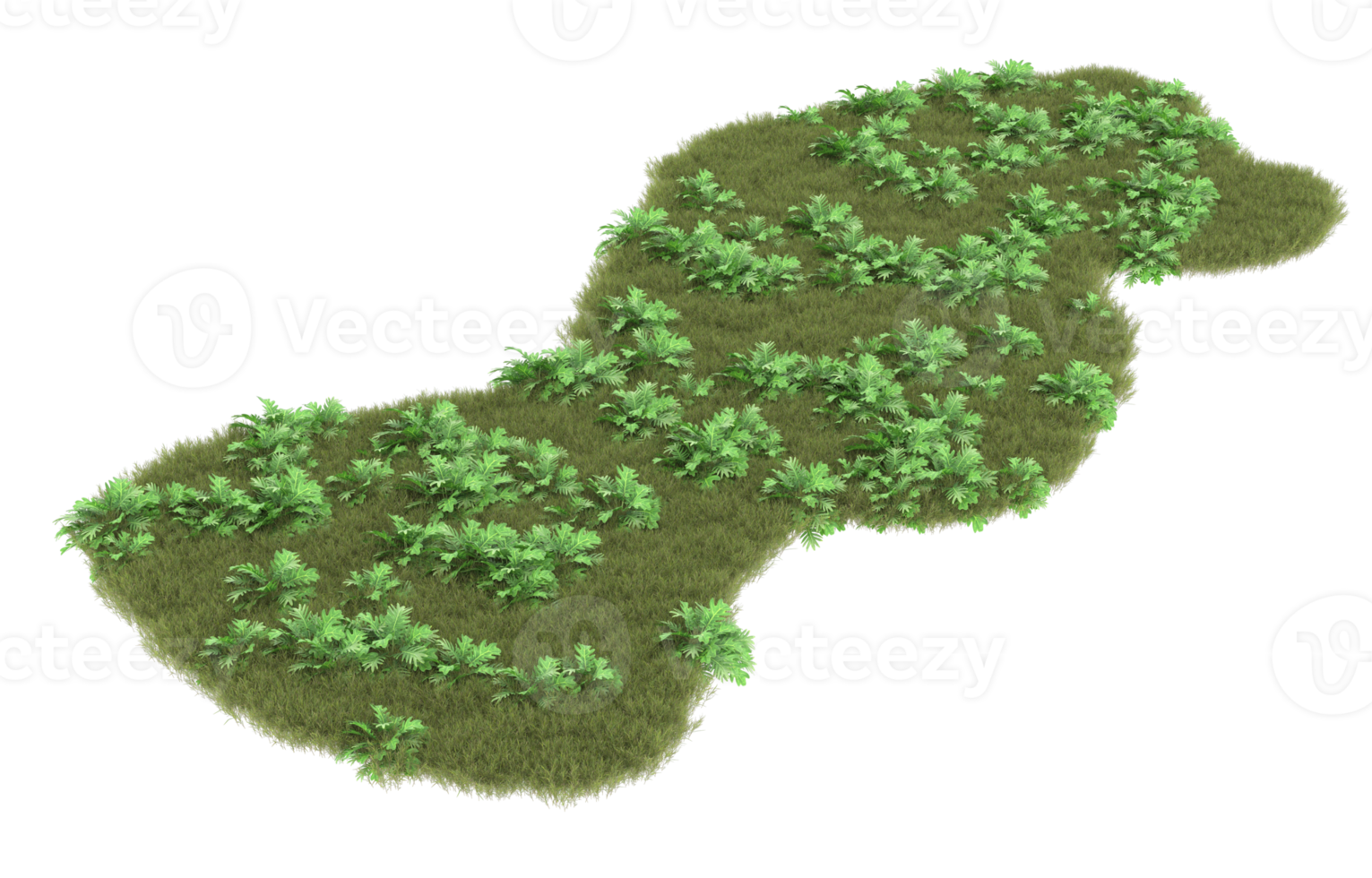 Realistic foliage isolated on transparent background. 3d rendering - illustration png