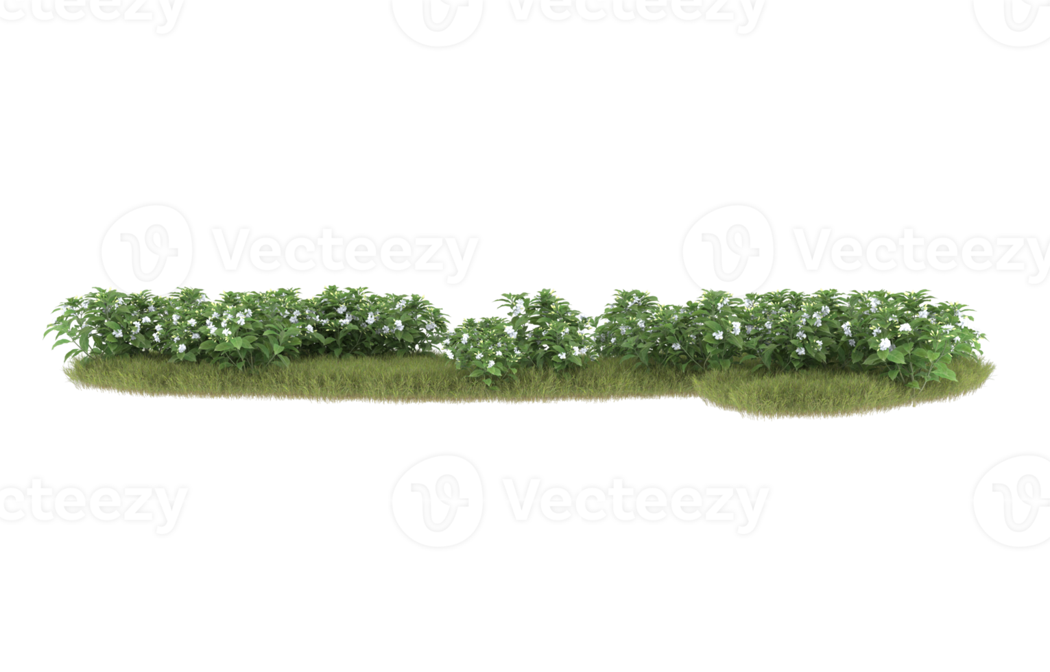 Realistic foliage isolated on transparent background. 3d rendering - illustration png