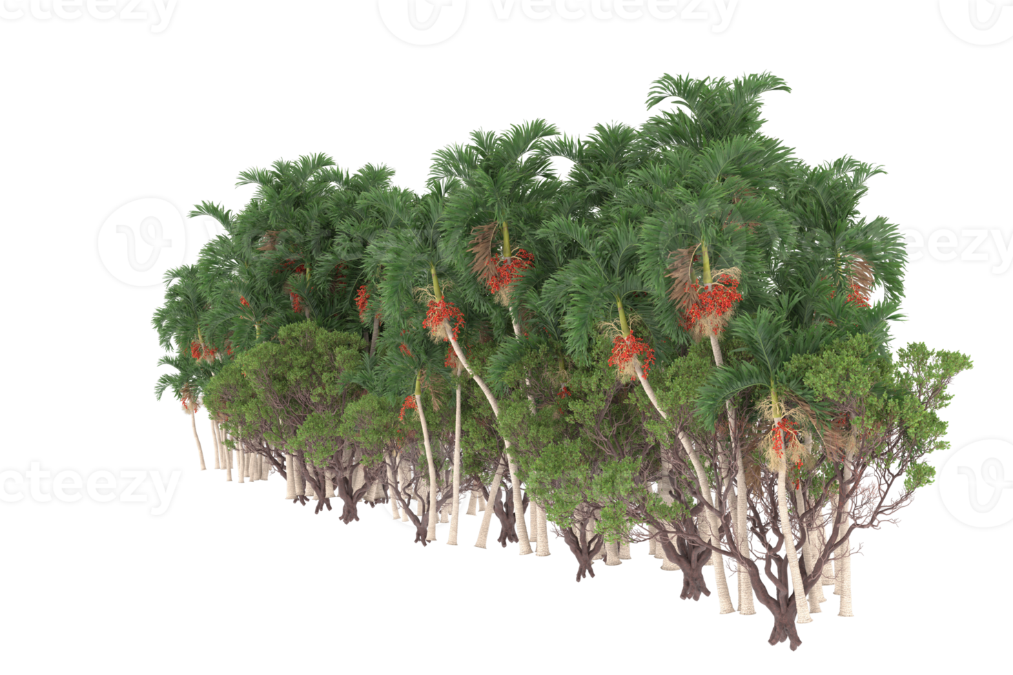 Palm trees isolated on transparent background. 3d rendering - illustration png