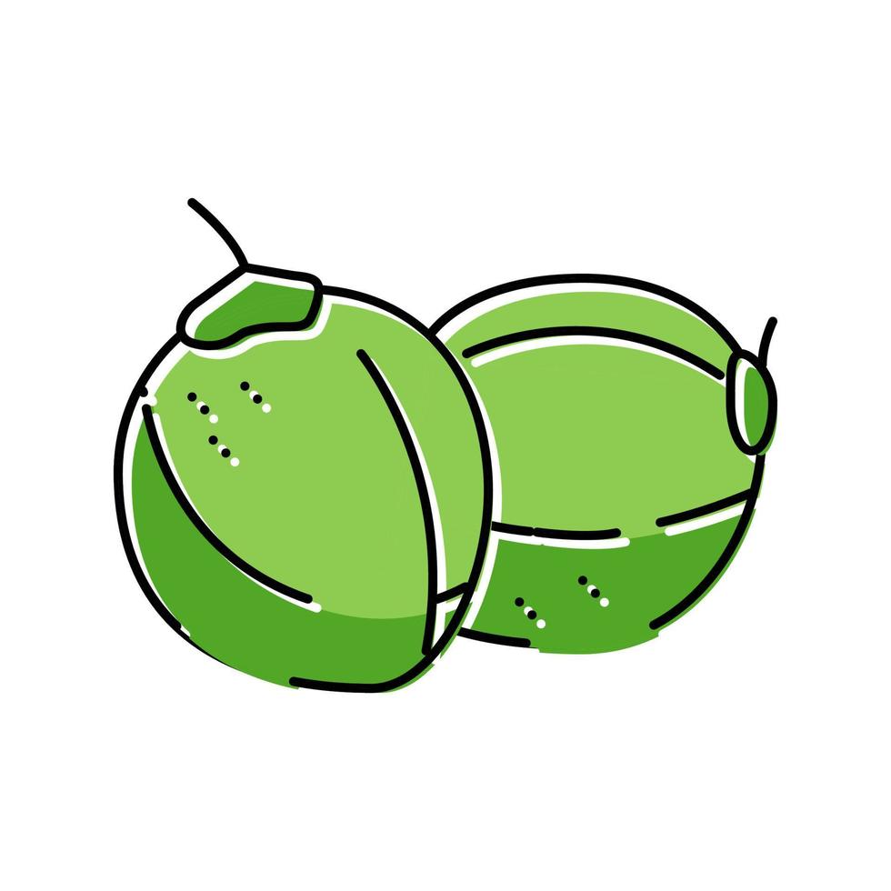 coco verde coco color icono vector ilustración