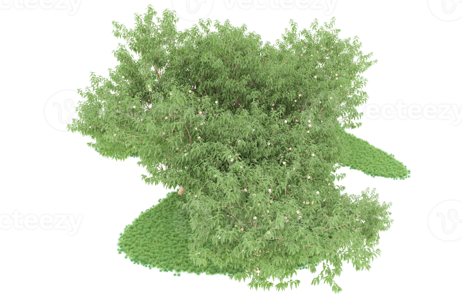 Realistic forest isolated on transparent background. 3d rendering - illustration png