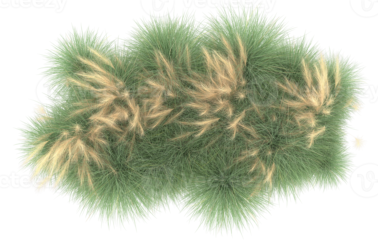 Realistic foliage isolated on transparent background. 3d rendering - illustration png