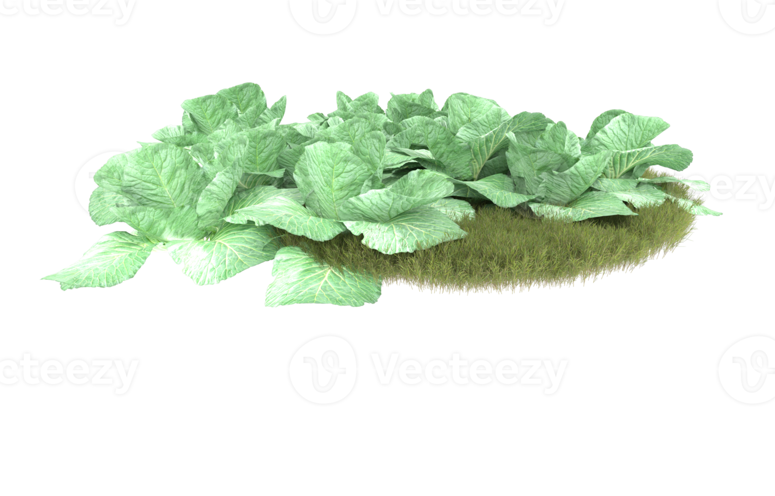 Realistic foliage isolated on transparent background. 3d rendering - illustration png