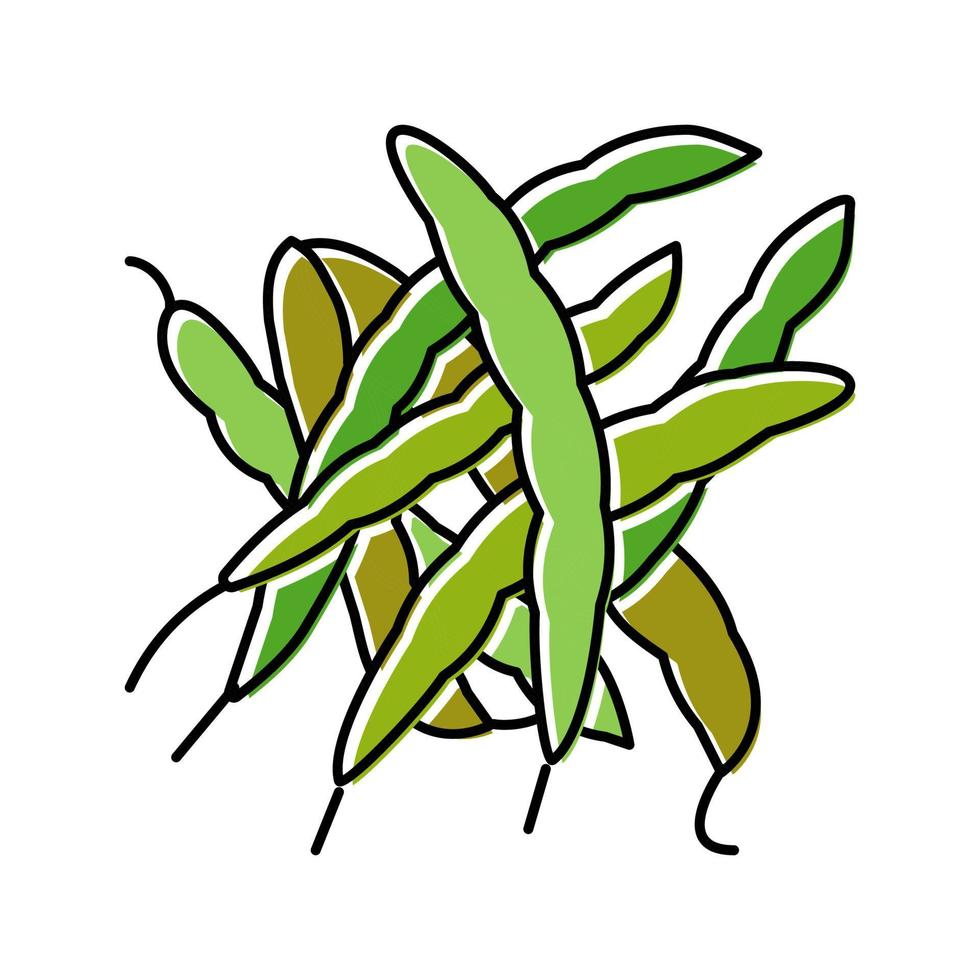 green bean natural color icon vector illustration