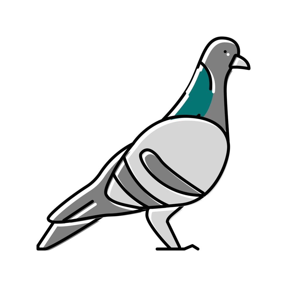 pigeon bird color icon vector illustration