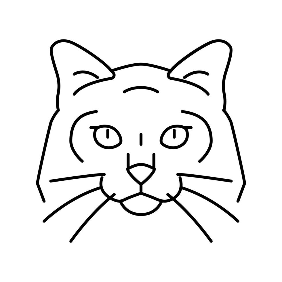birman cat cute pet line icon vector illustration