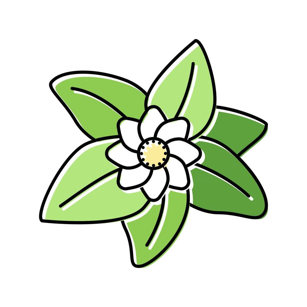 flor hoja color icono vector ilustración