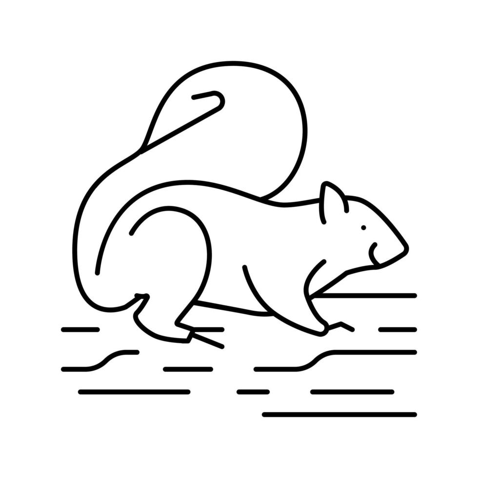 ardilla animal salvaje línea icono vector ilustración