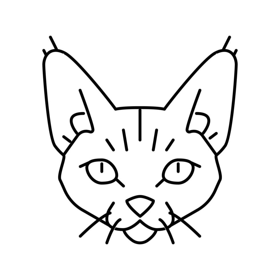 devon rex cat cute pet line icon vector illustration