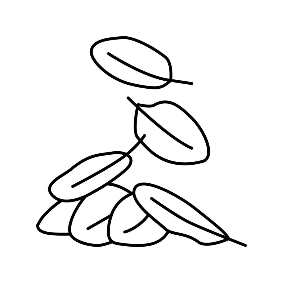 hojas espinacas línea icono vector ilustración