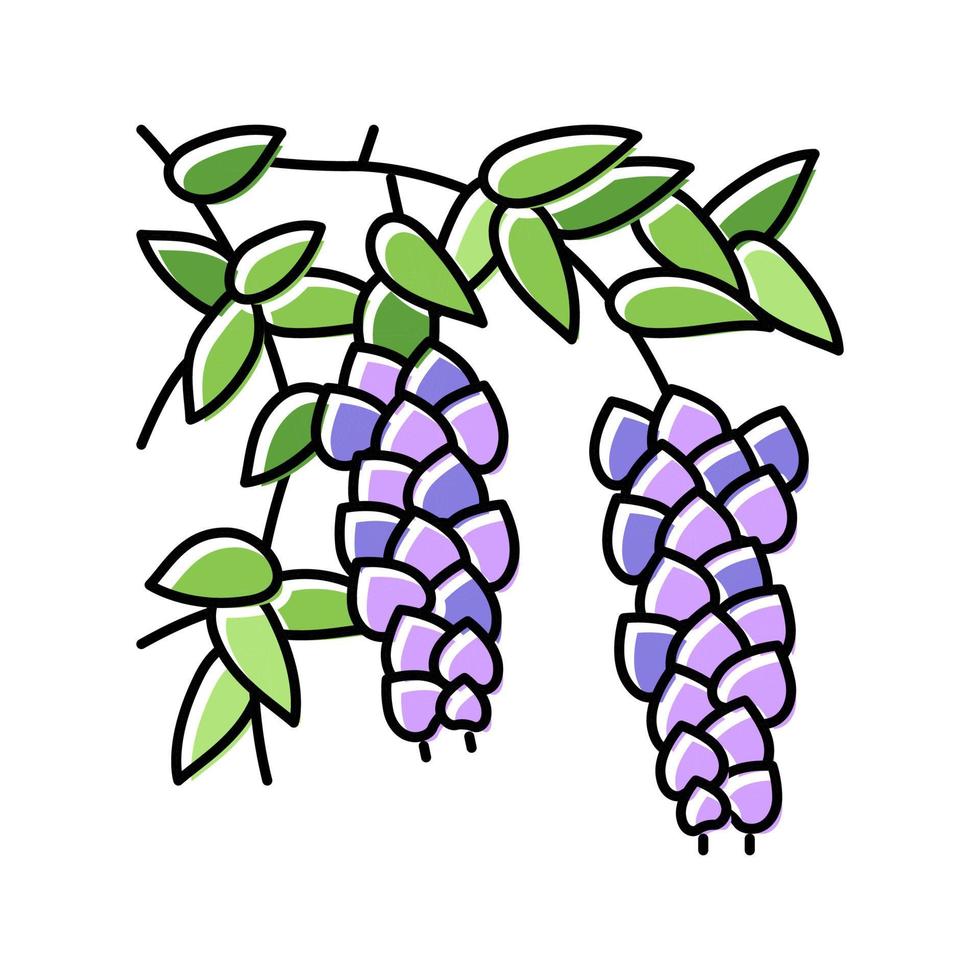 wisteria liana color icono vector ilustración