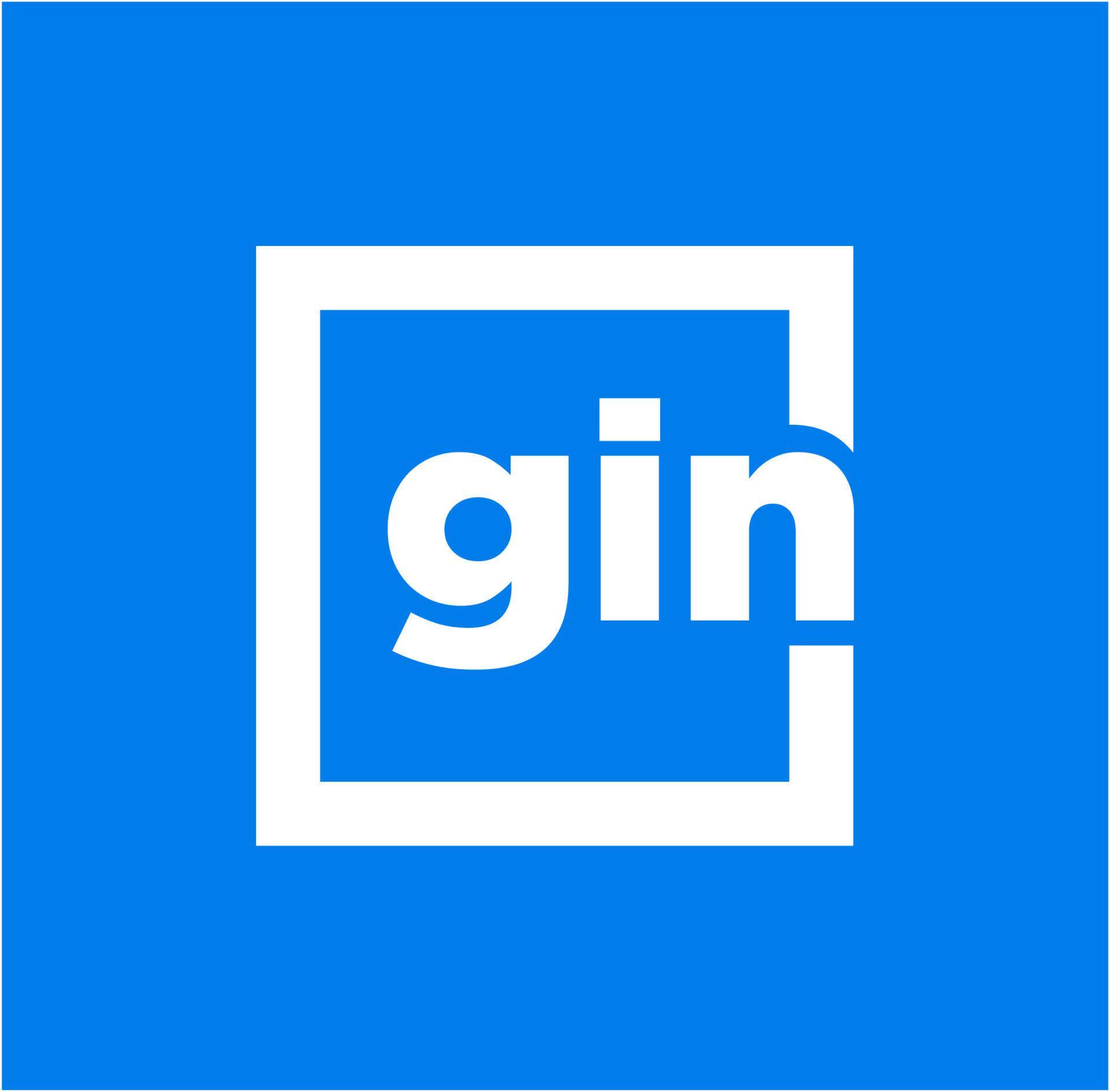 GIN company name initial letters monogram. GIN letters in square on