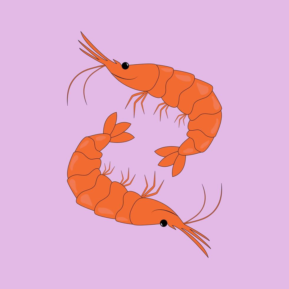 Two bright funny funny cartoon shrimps, marine inhabitants, seafood vector