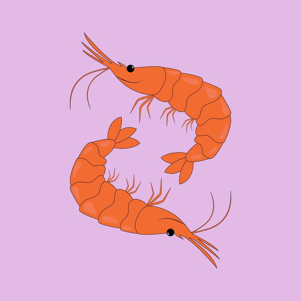 dos camarones de dibujos animados divertidos y brillantes, habitantes marinos, mariscos vector